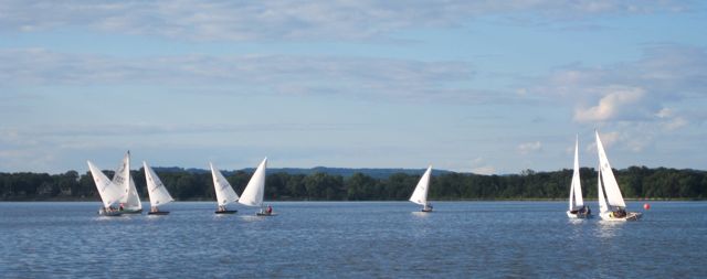 Lasers and Daysailers