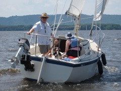And Salty Dogs