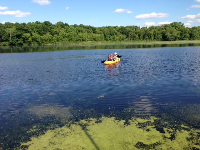 Paddling the Bay