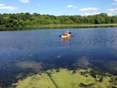 Paddling the Bay